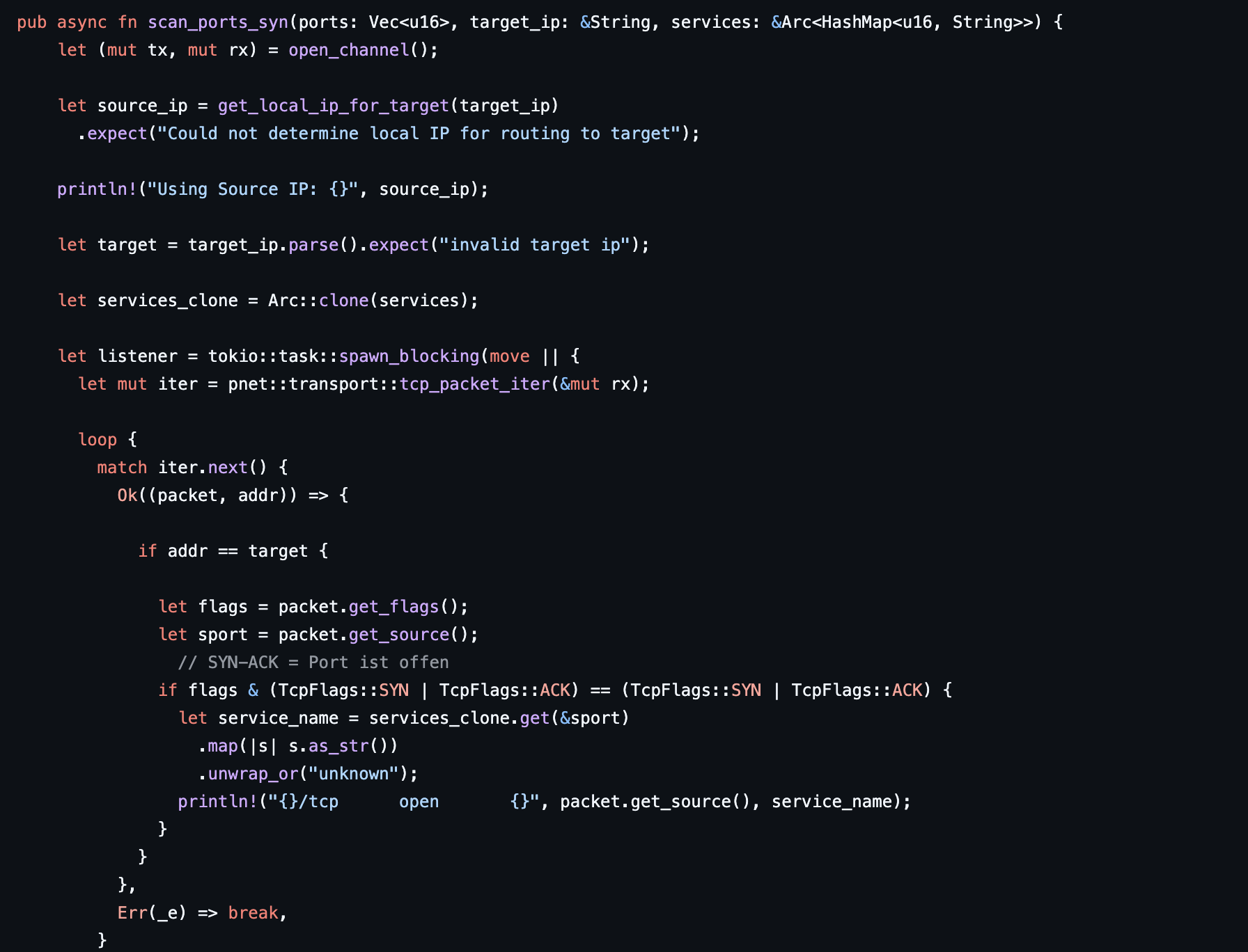 Screenshot von Port Scanner in Rust